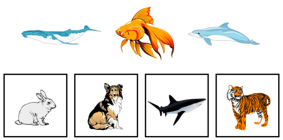 CogAT 1st Grade Picture Classification Free Sample