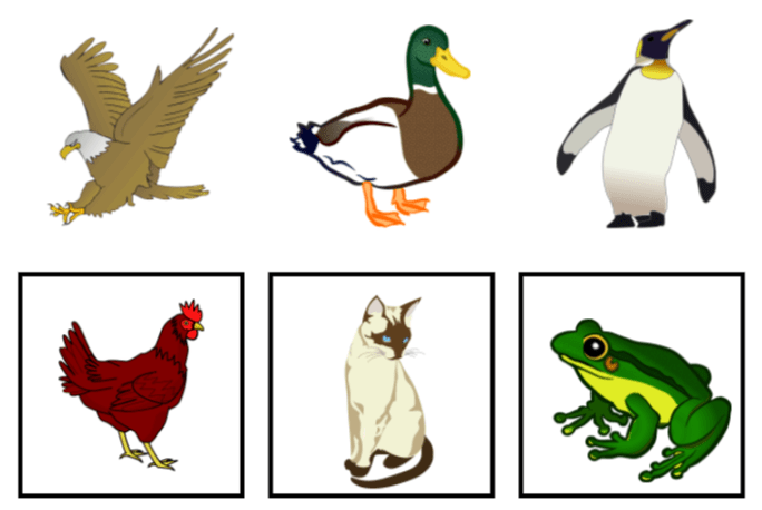CogAT Kindergarten Picture Classification Free Sample
