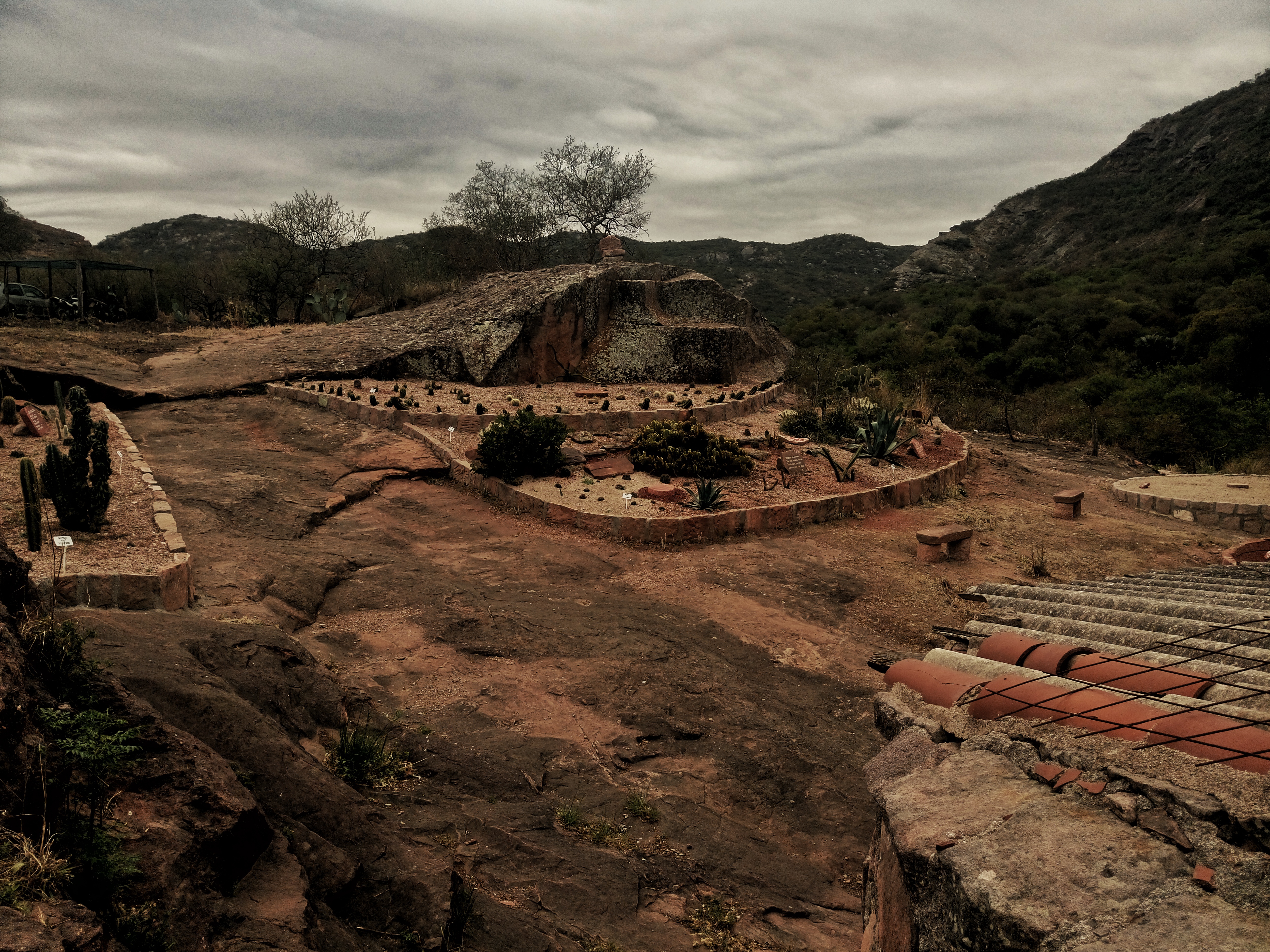 dsc_0715-01.jpeg