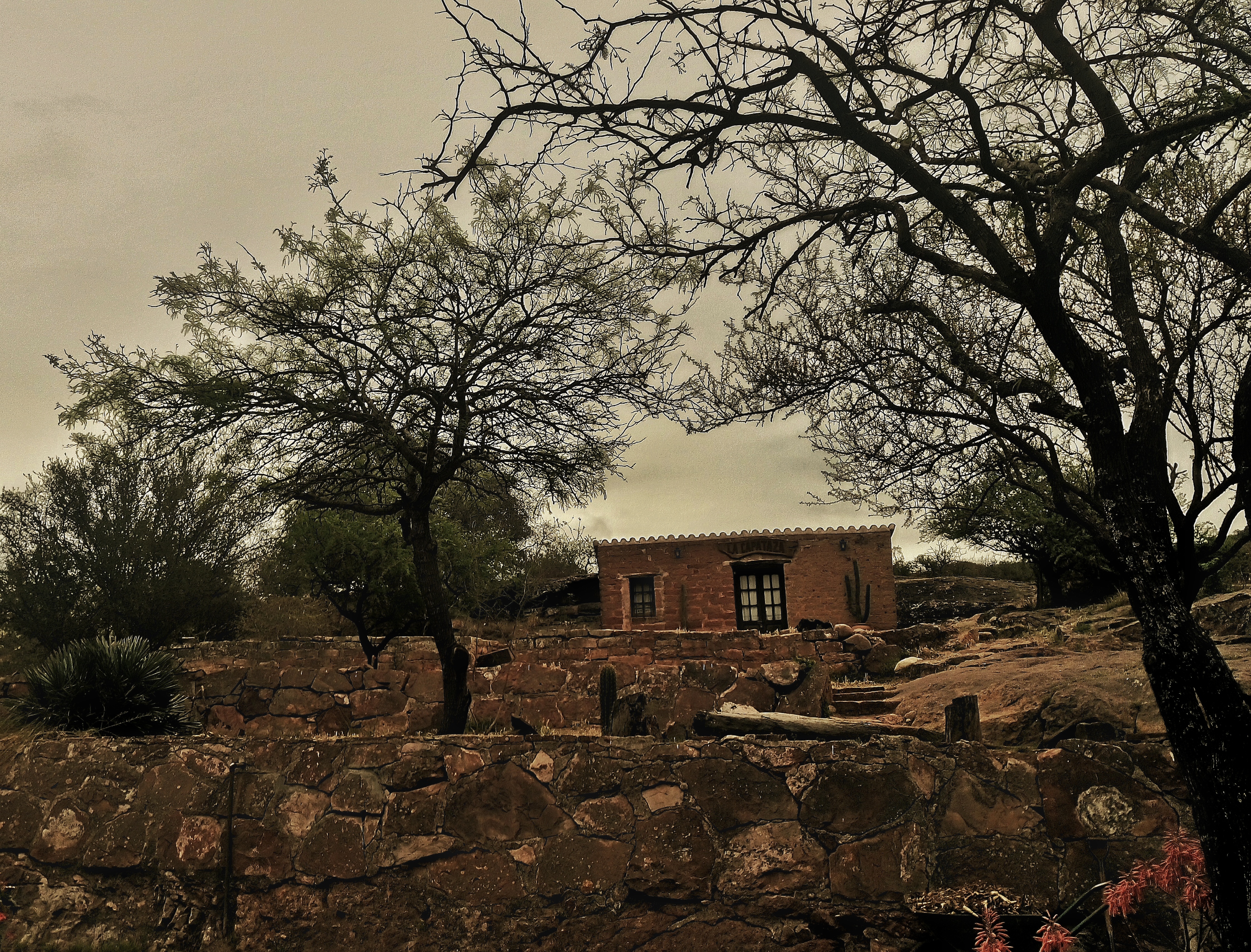 dsc_0722-01-01.jpeg