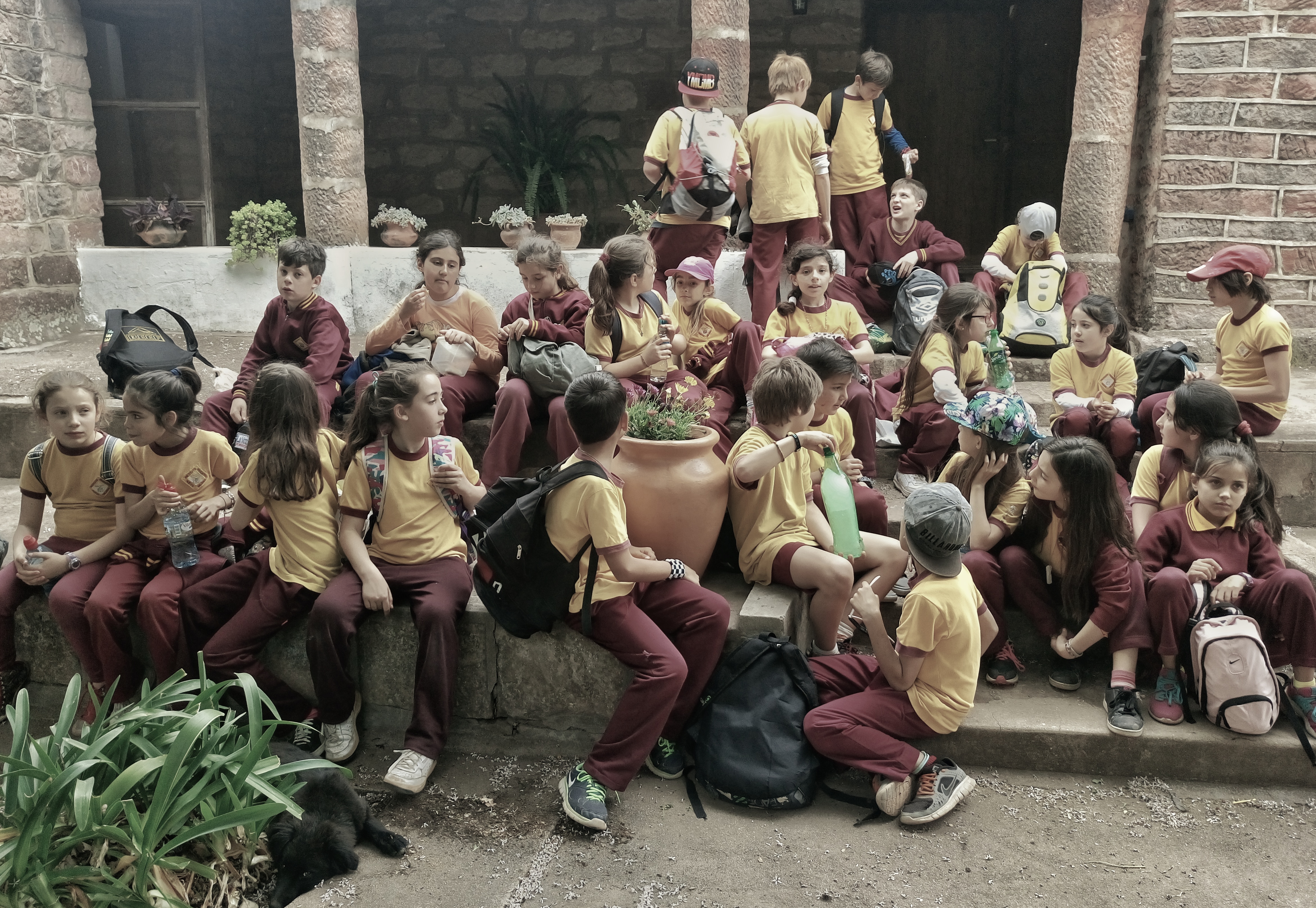 dsc_0728-01.jpeg