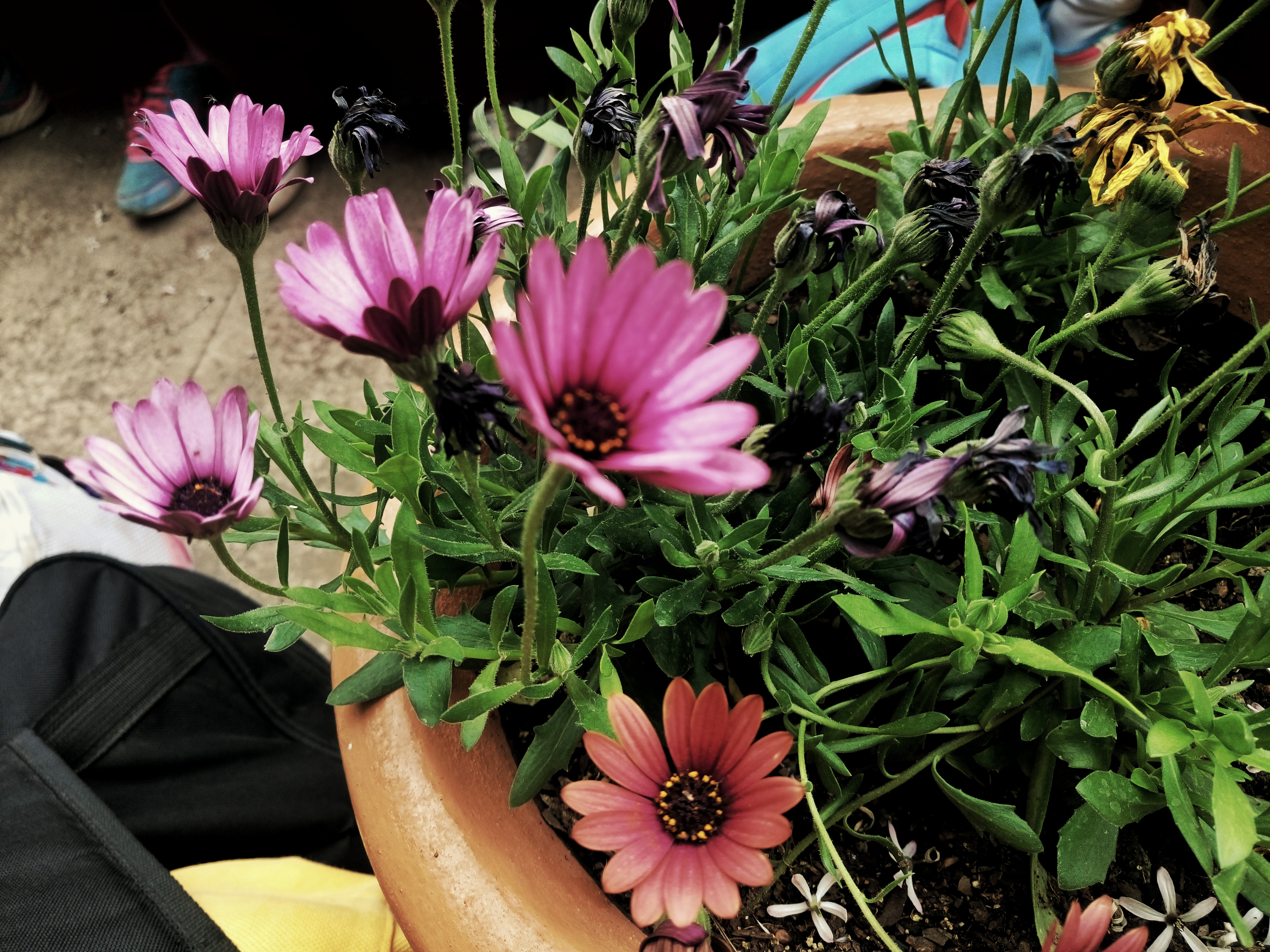 dsc_0733-01.jpeg