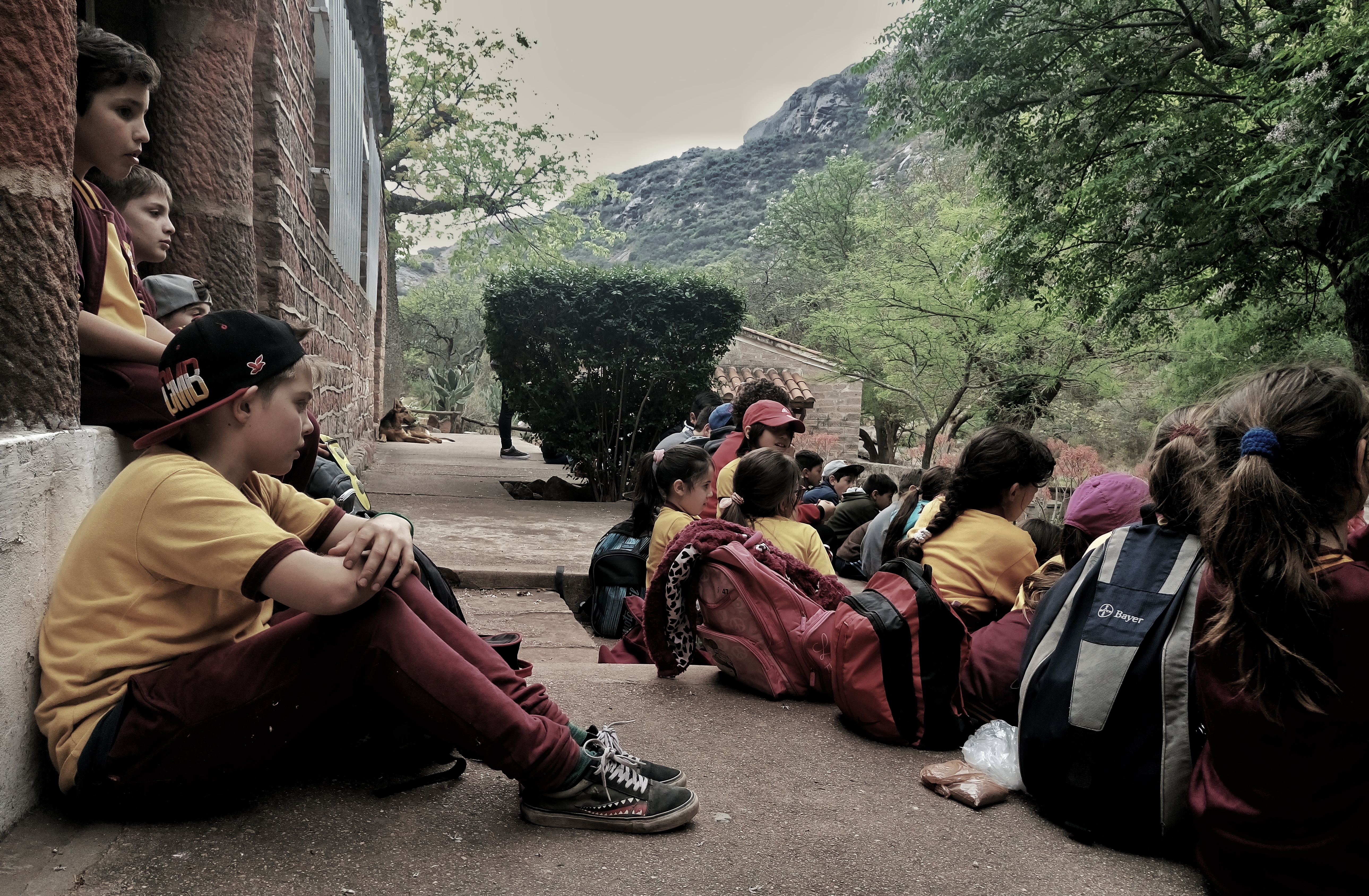 dsc_0740-01.jpeg