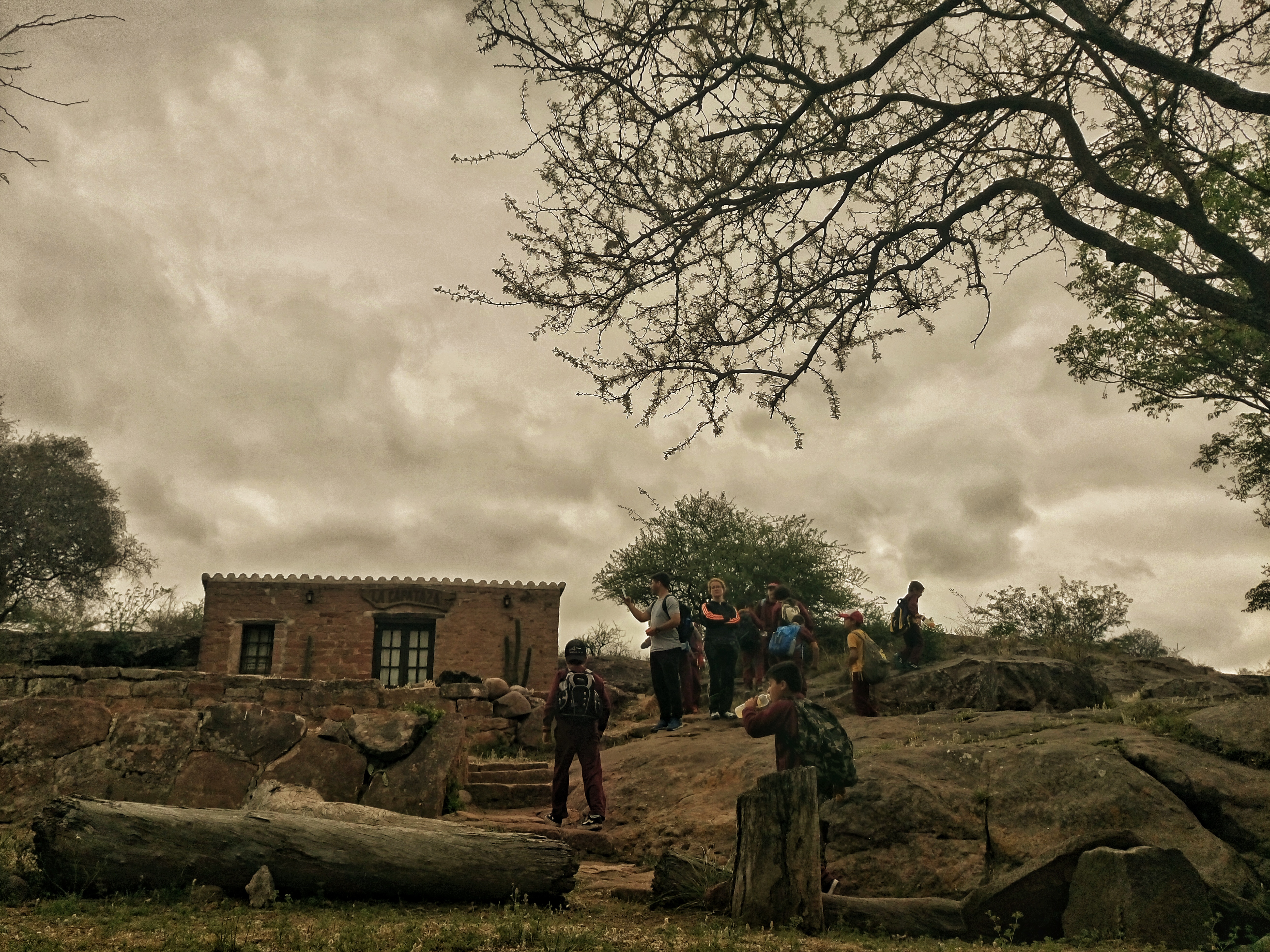 dsc_0754-01.jpeg