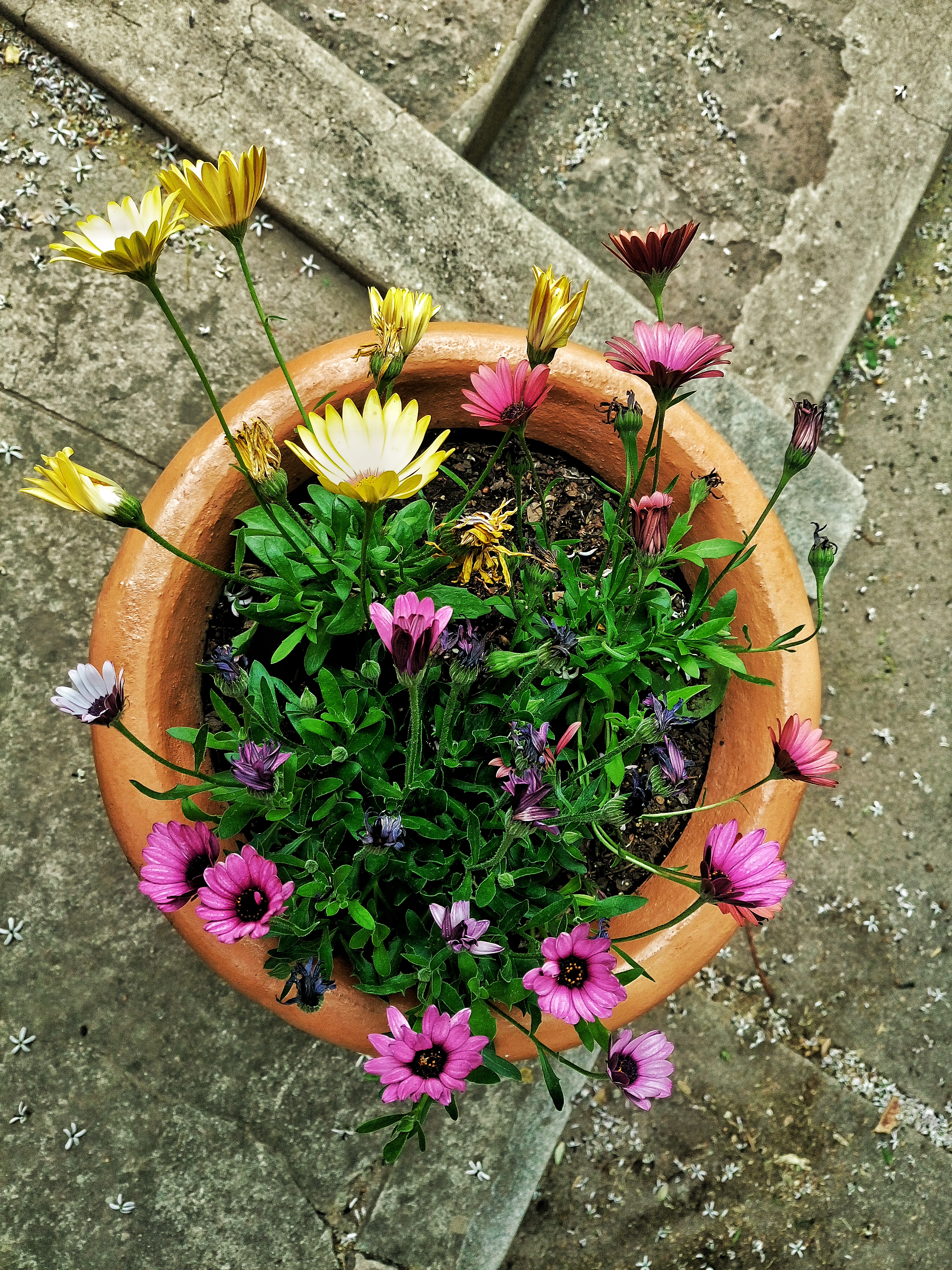 dsc_0761-01.jpeg