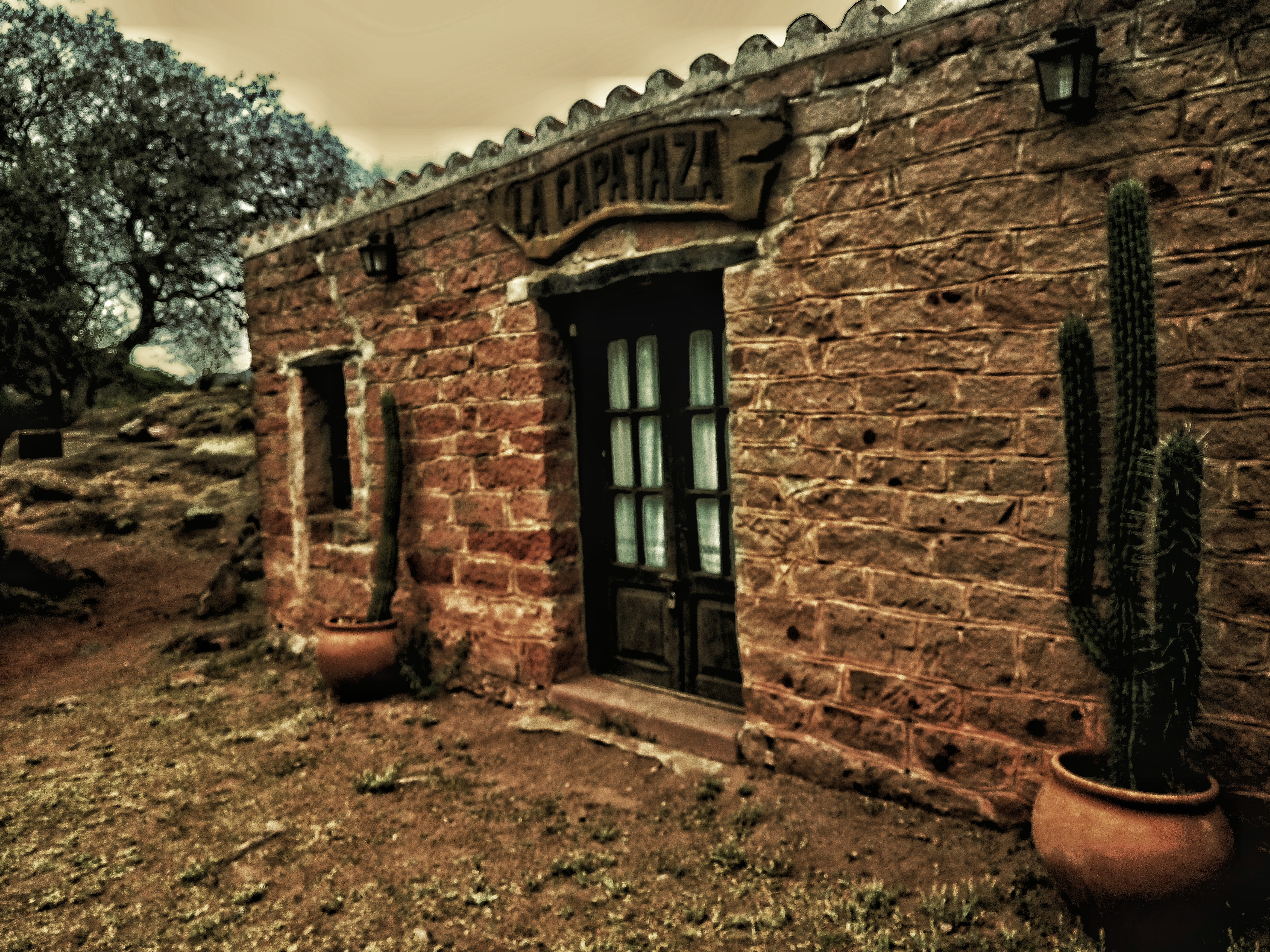 dsc_0763-01.jpeg