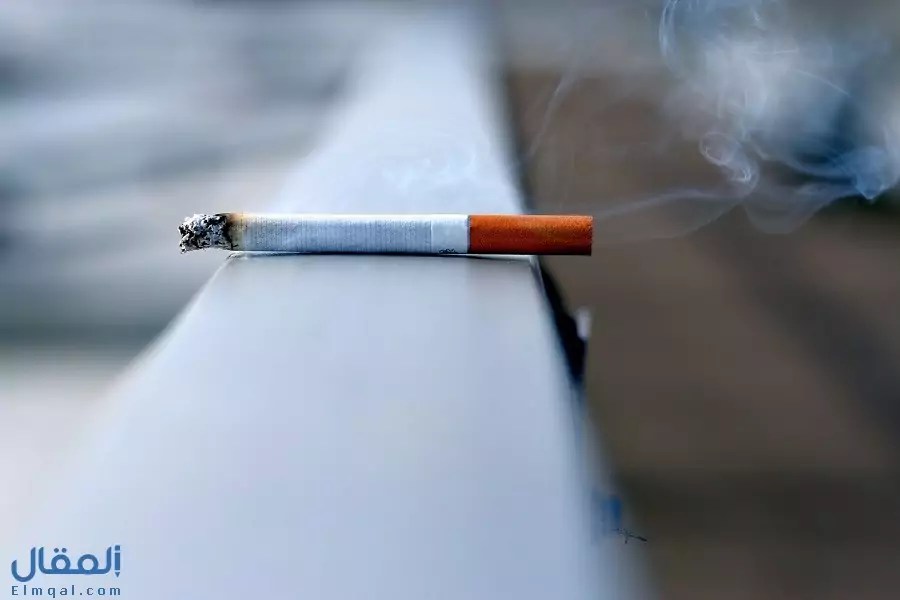 مقال عن التدخين قصير