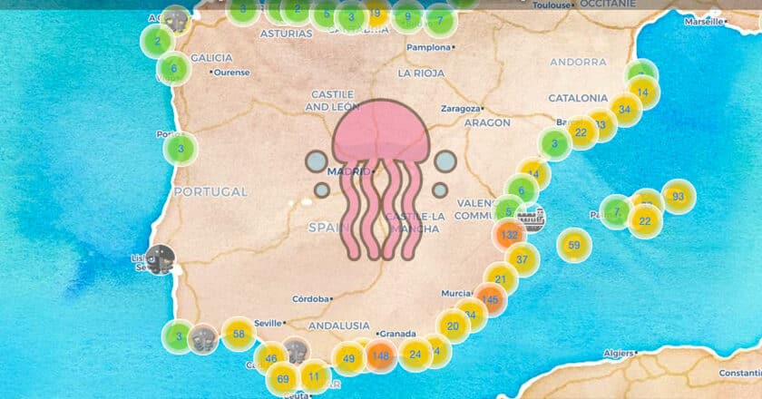 With This Real Time Map You Will Know If There Are Jellyfish On Your Mapa Medusapp 840x440 