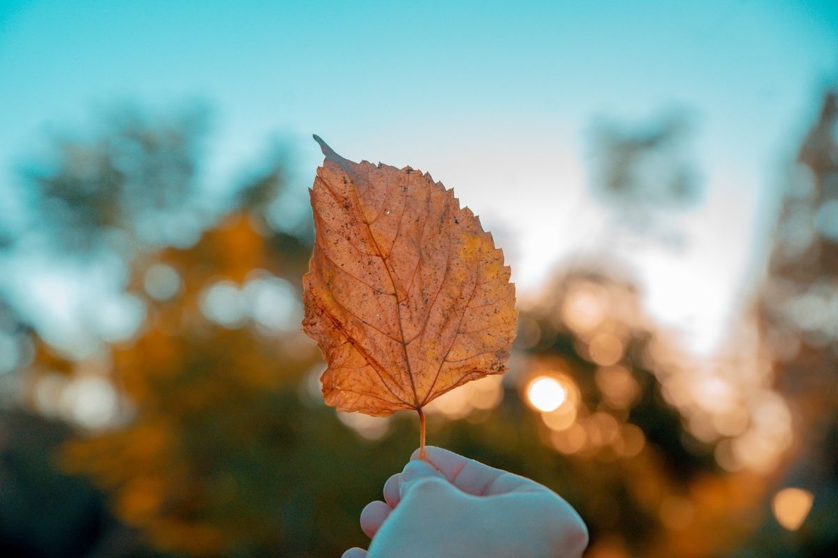 10 Feel-Good Things To Do In October