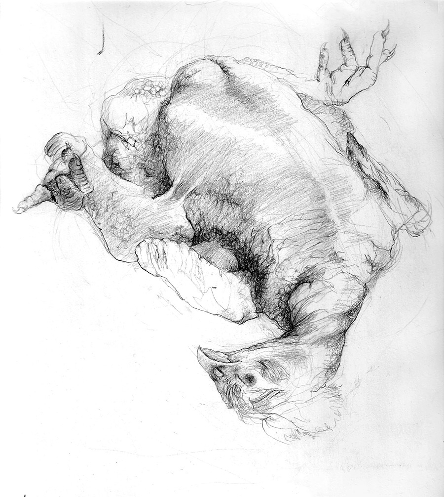 Chicken study.