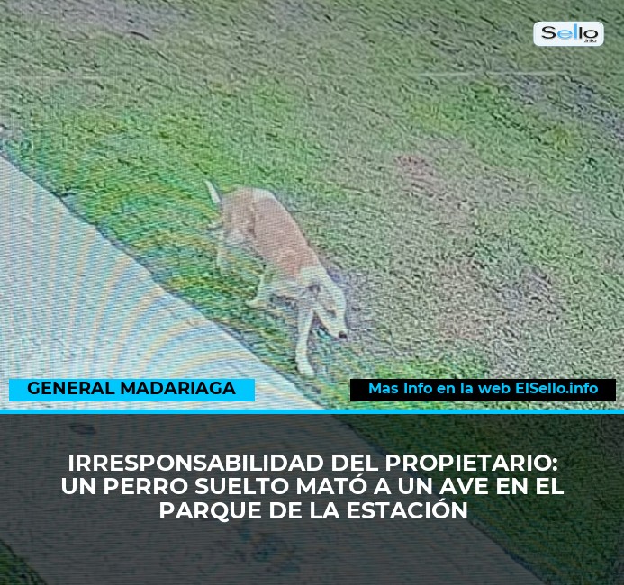 Irresponsabilidad del propietario: un perro suelto mató a un ave en el Parque de la Estación