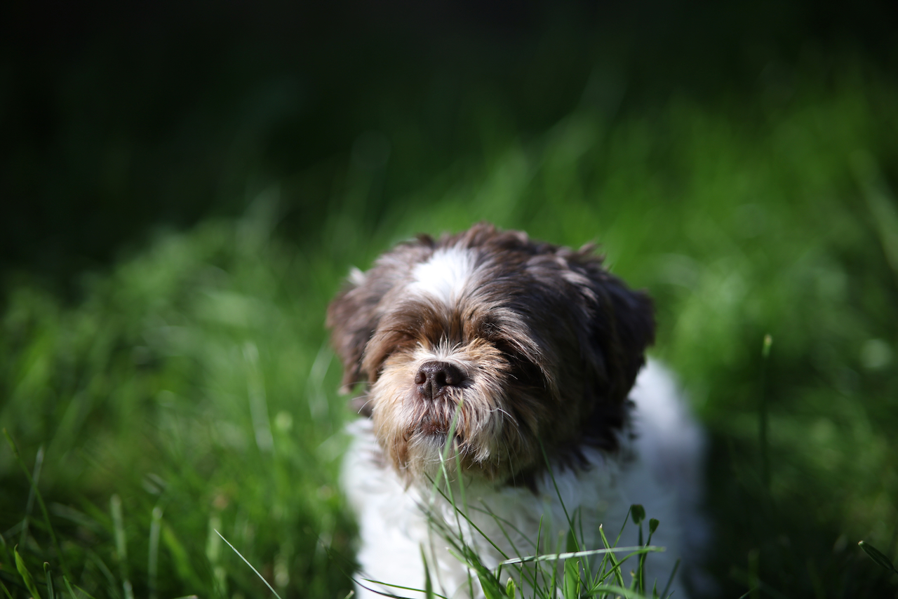 Głebia ostrości DoF