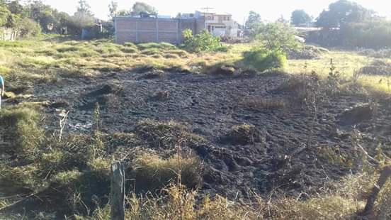 , Tras dos incendios registrados, llaman a evitar quemas en Gómez Farías