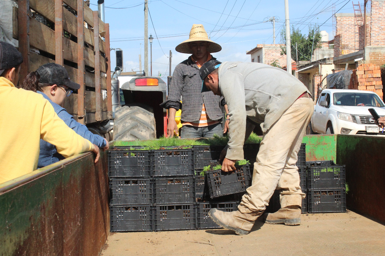 APEAJAL dona pinos, APEAJAL dona pinos y cedros a productores