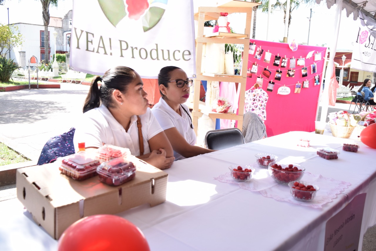 Mujeres de Gómez Farías recibieron apoyo para crecer su negocio, Mujeres de Gómez Farías recibieron apoyo para crecer su negocio