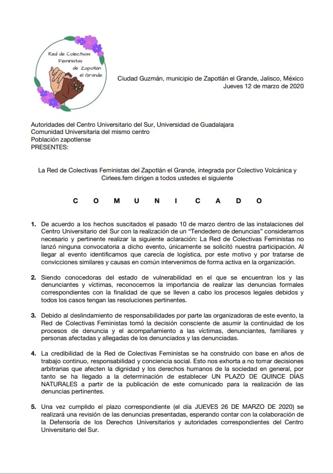, No permitiremos represalias por denuncias: Colectivas Feministas de Zapotlán