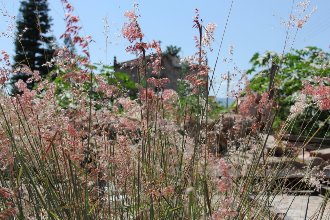 , Entre promesas y sanciones, a un a&ntilde;o de la demolici&oacute;n de El P&aacute;ramo