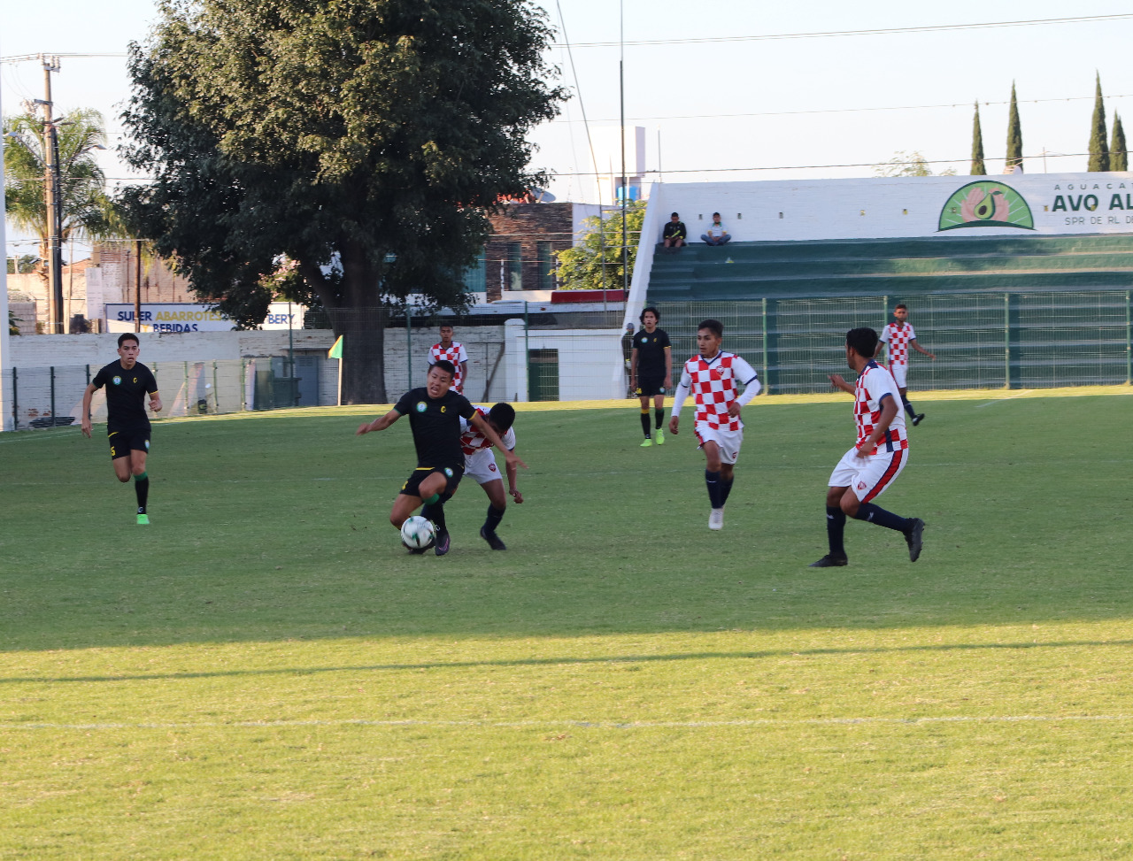 , Mazorqueros derrota 3-0 a Tecos CEFO-ALR