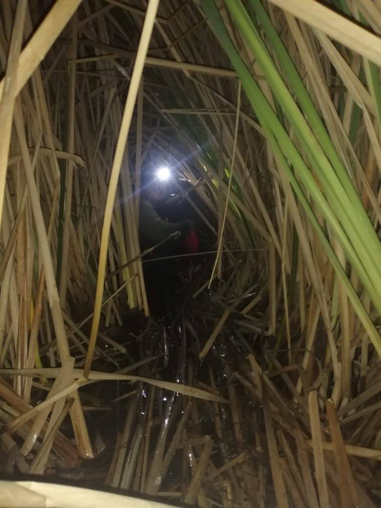 , Rescatan a hombre atrapado en tule en la Laguna de Zapotlán
