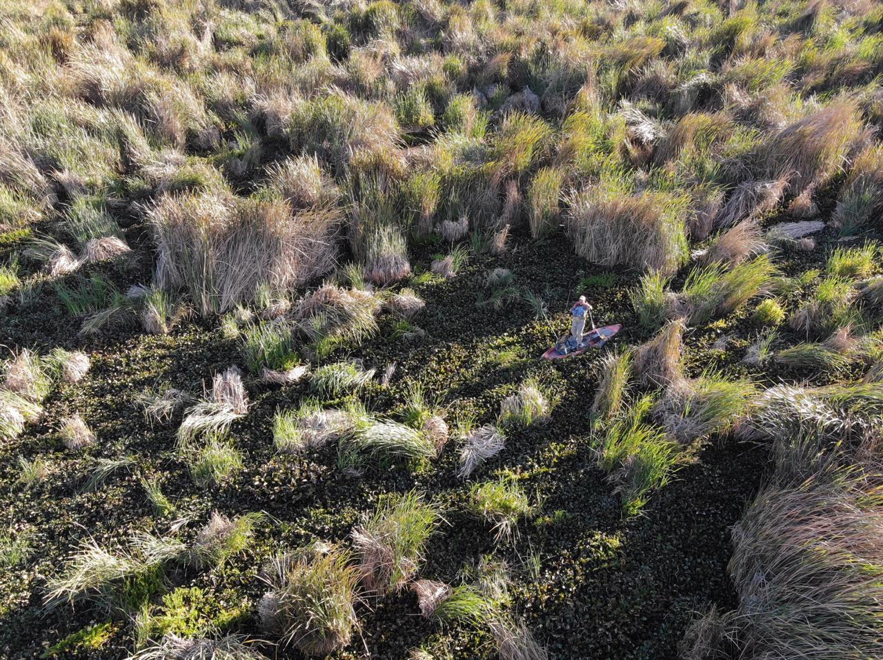 , Rescatan a hombre atrapado en tule en la Laguna de Zapotlán