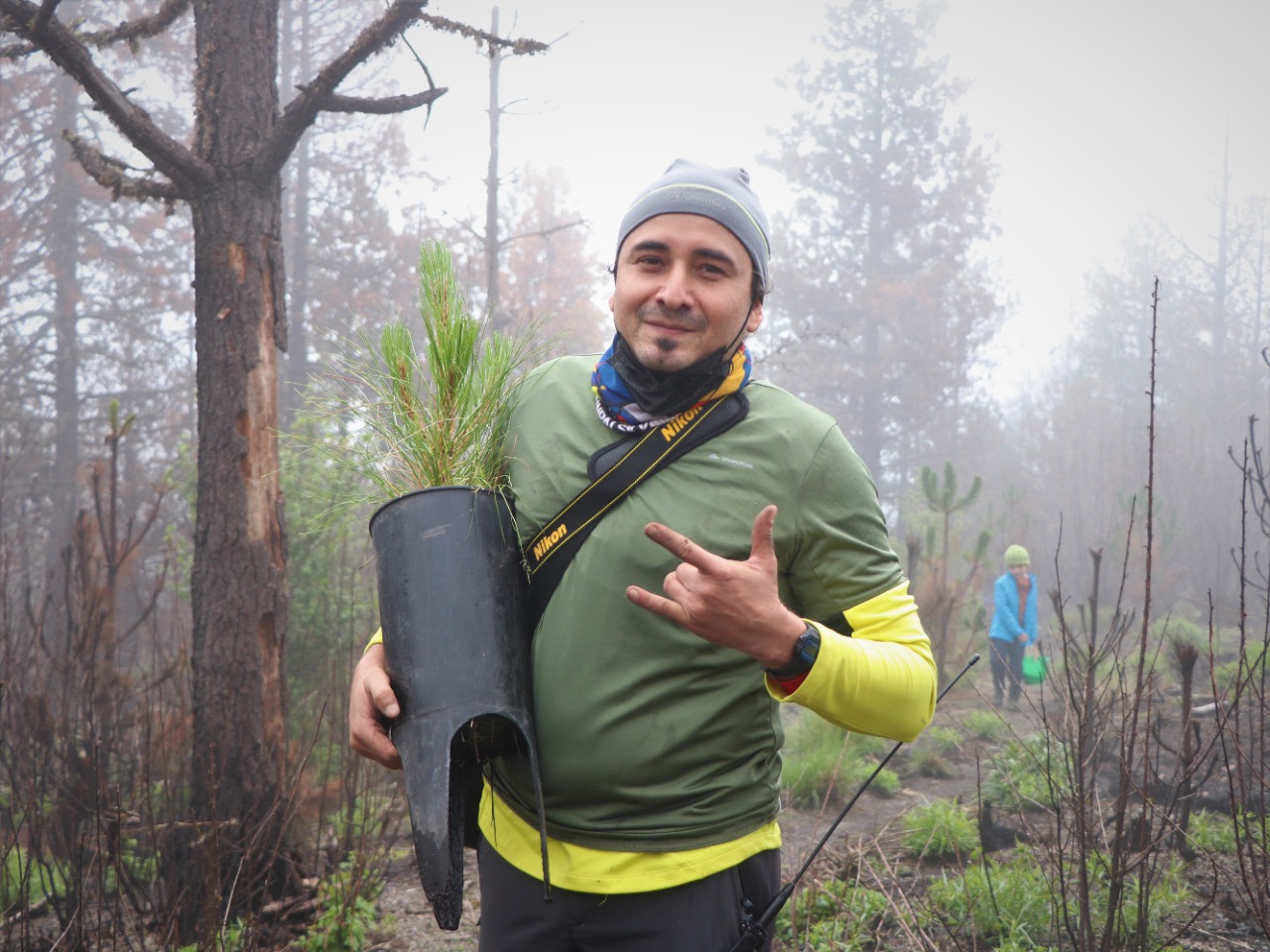 , Con reforestaci&oacute;n celebran el d&iacute;a del &aacute;rbol en el Nevado