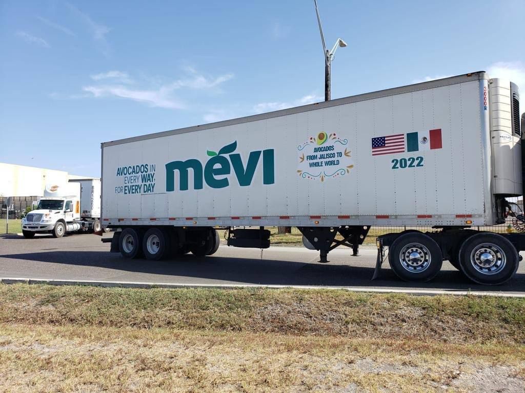 , Llega aguacate de Jalisco a Estados Unidos