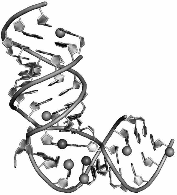 Hep-Cweb