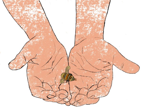 A drawing of hands cupped with a bee laying in the middle of them