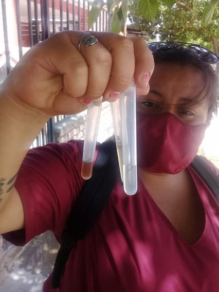 FRIAS DENGUE