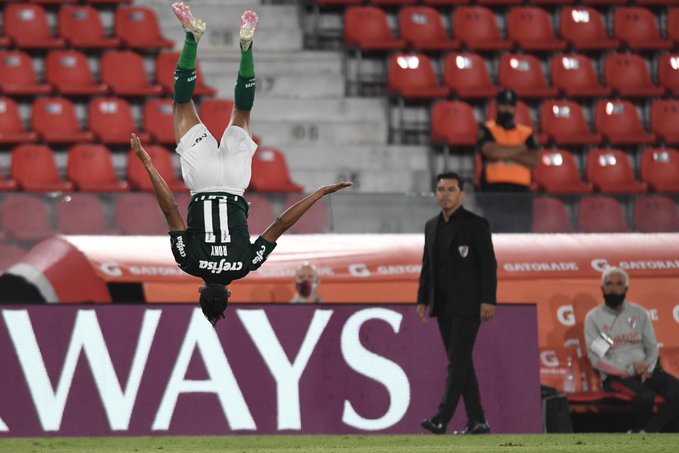 RIVER PALMEIRAS