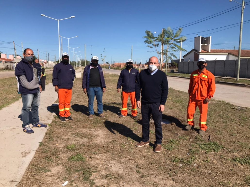 MIROLO REFORESTACION