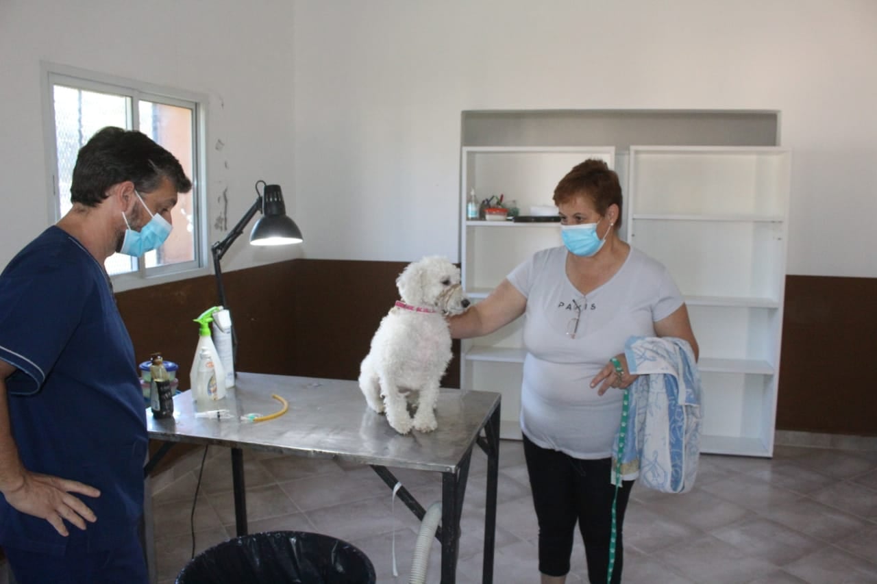 MUN CASTRACIONES DE MASCOTAS