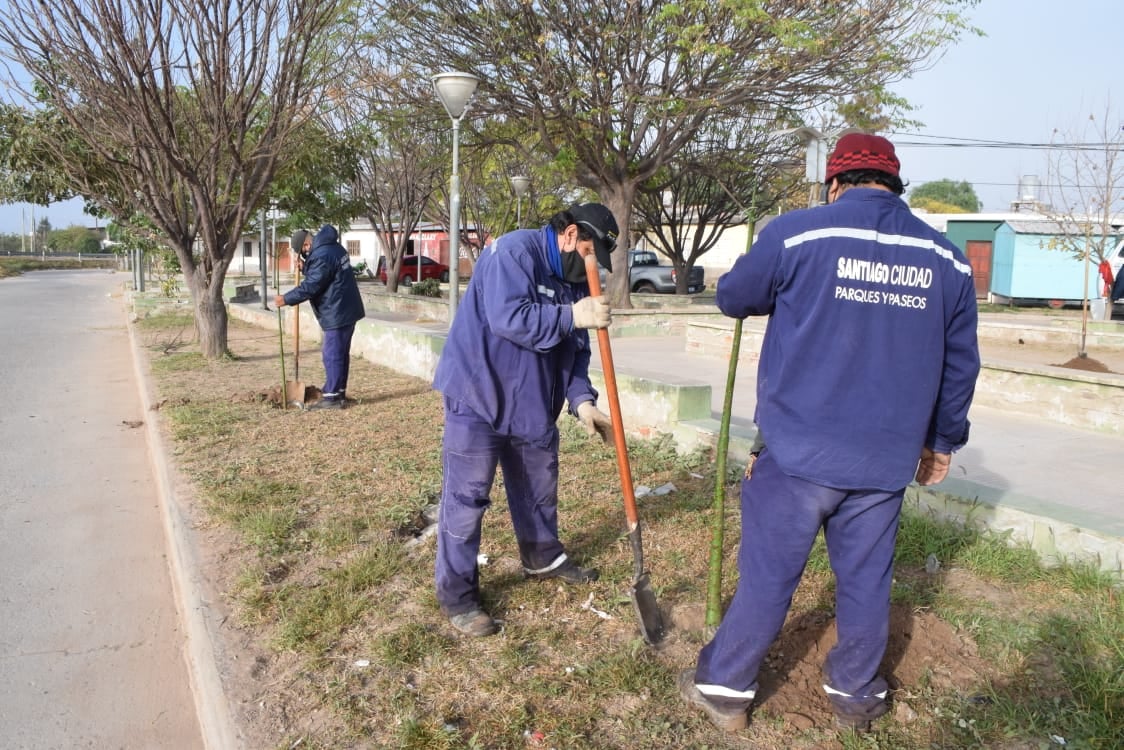 MUNI REFORESTACION