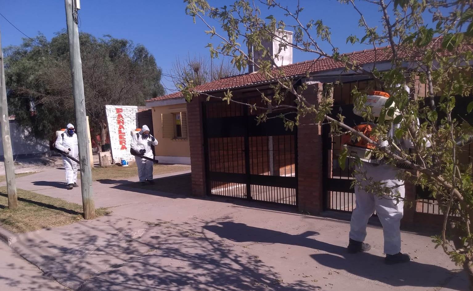 MUNI FUMIGACION