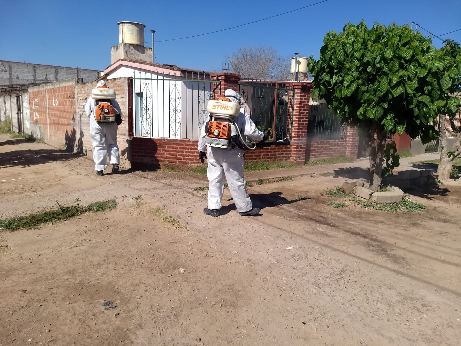 MUNI FUMIGACION