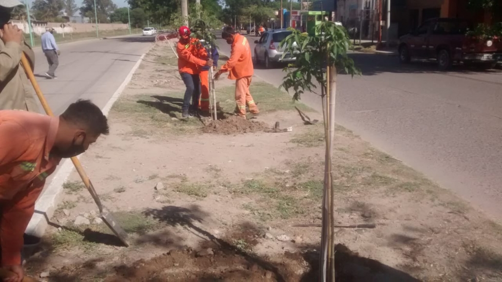 LA BANDA ARBOLADO