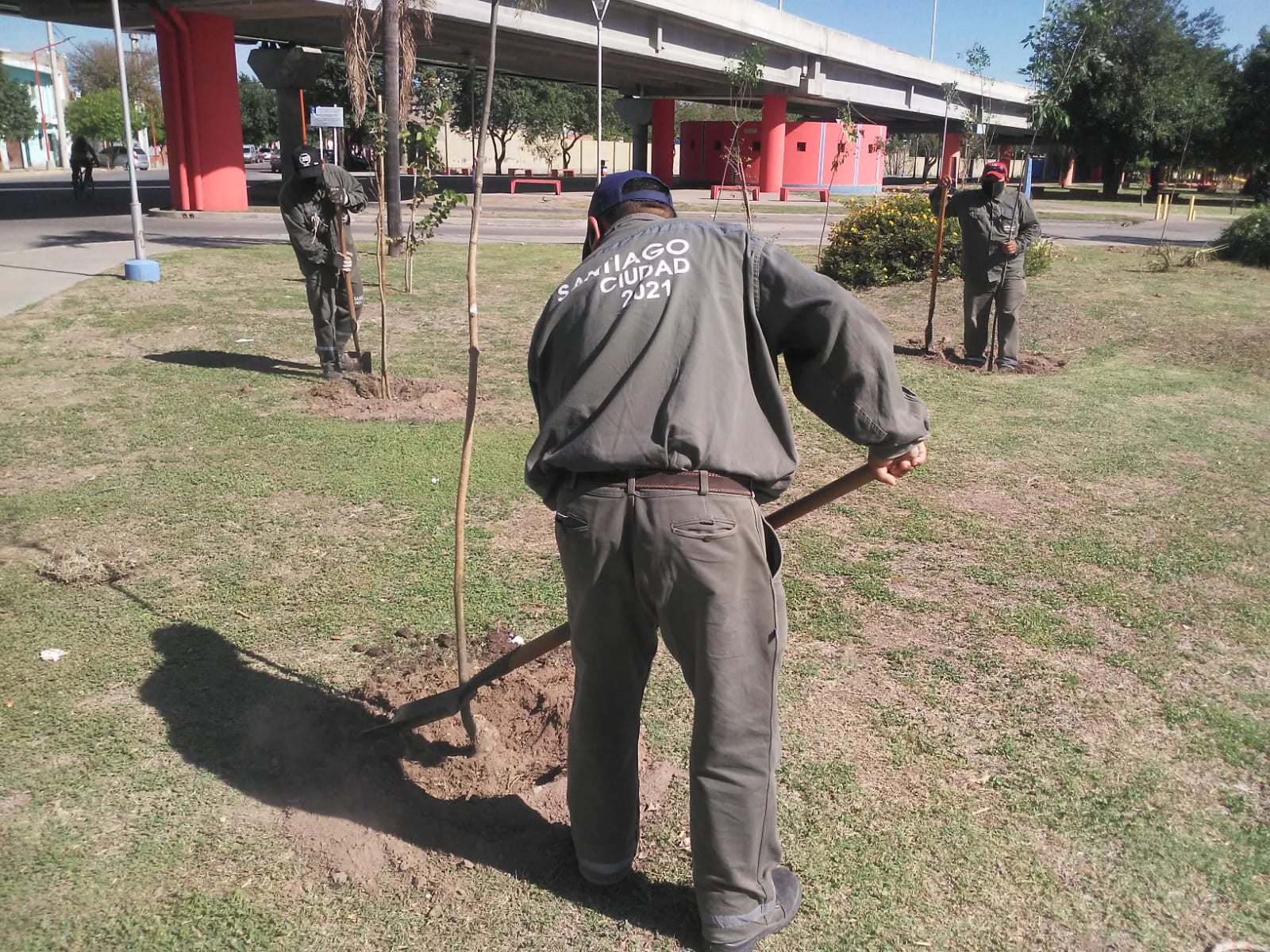 MUNI PLANTACIONES