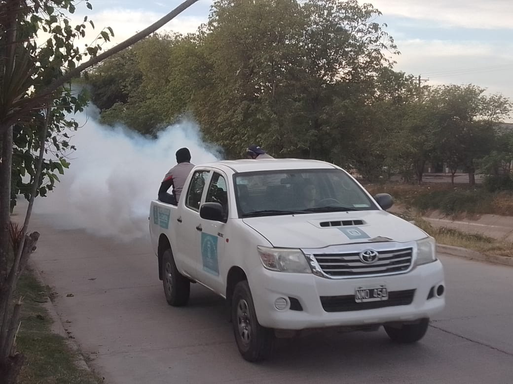 fumiga25