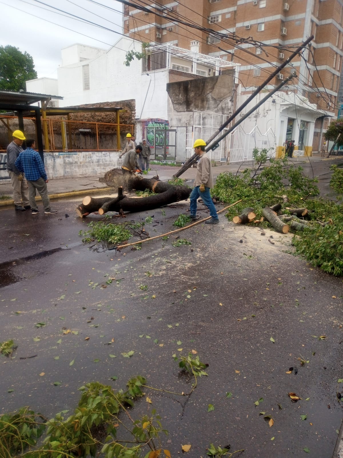tormenta2