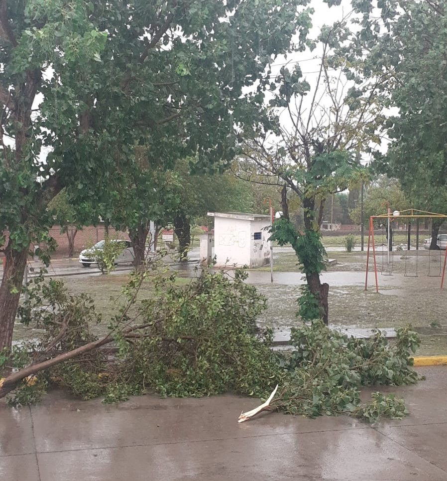 temporal frias