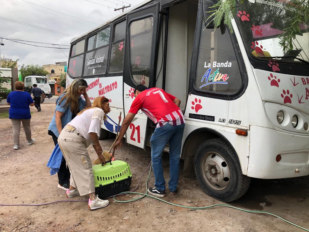 BANDA CASTRACIONES