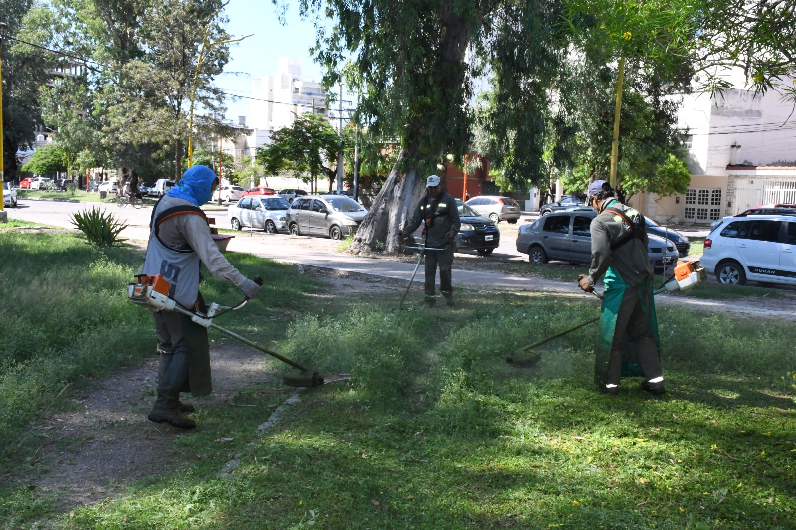 corte malezas1