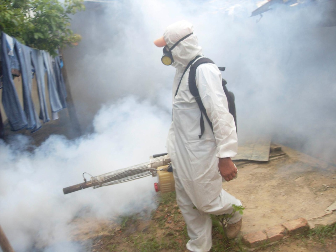 DENGUE