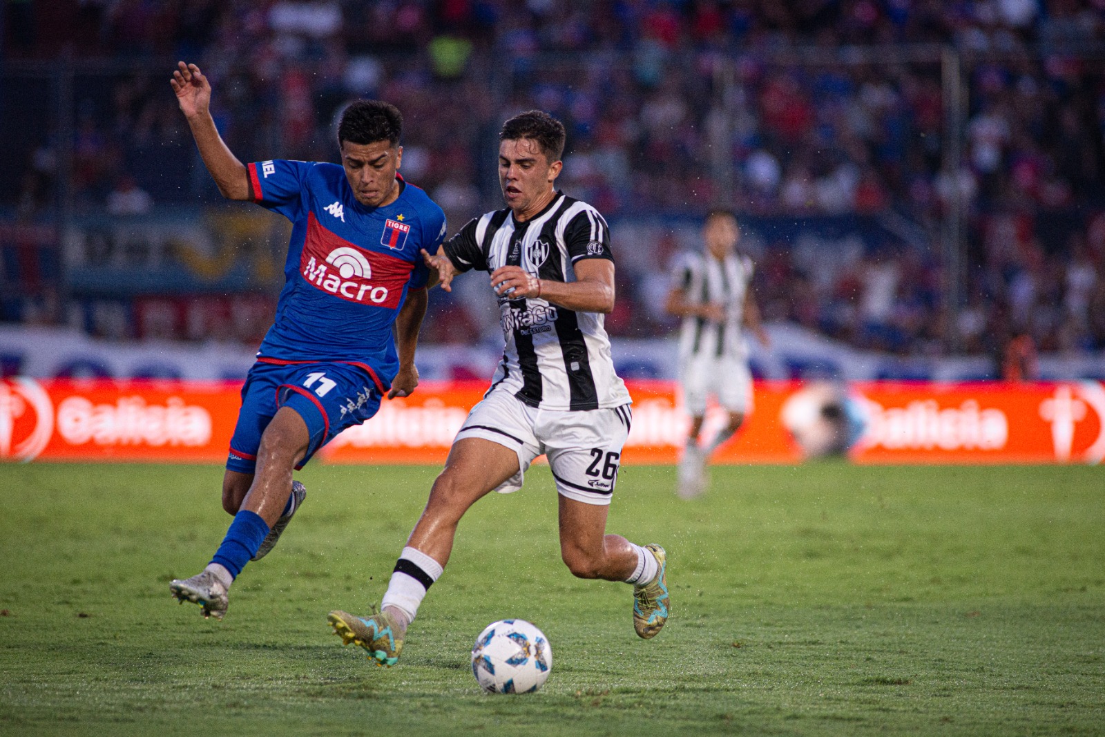 central tigre