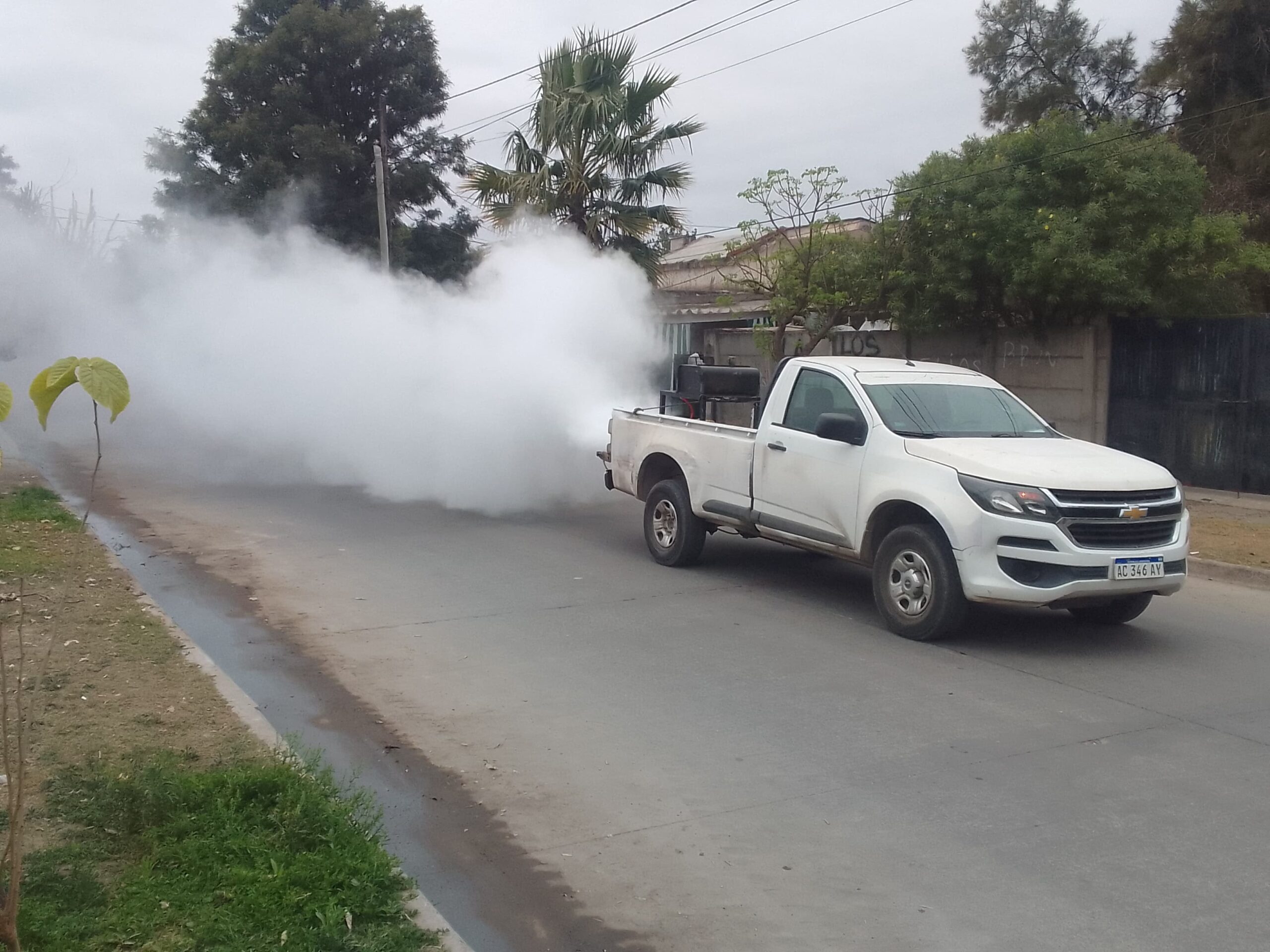fumigas