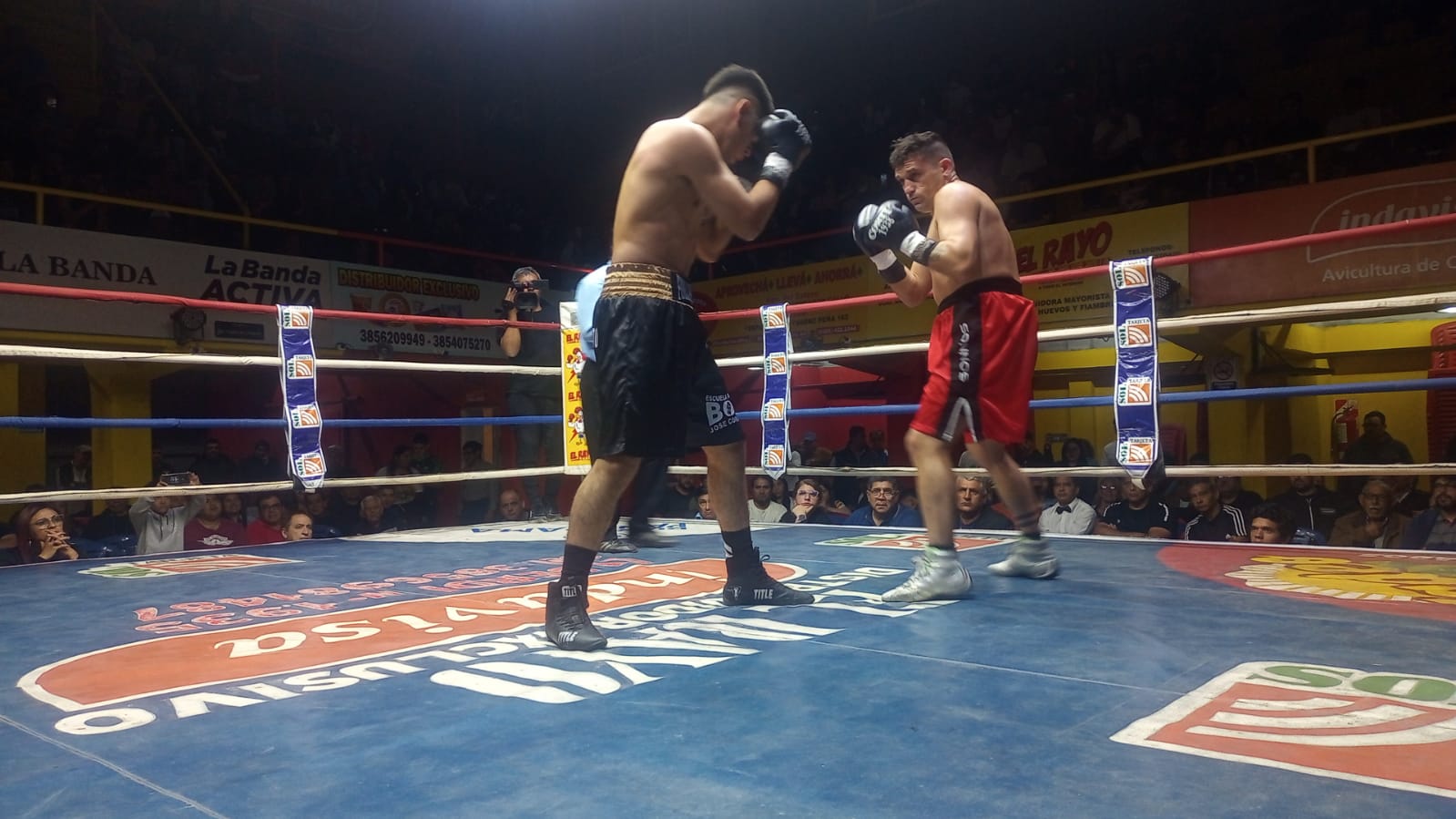 BOXEO BORQUEZ
