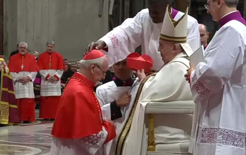 BOKALIC CARDENAL 1