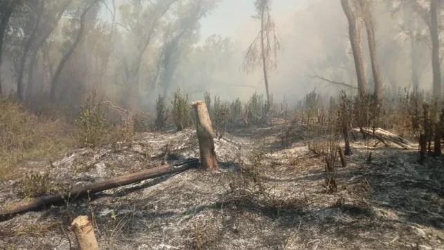 INCENDIOS APAGADOS