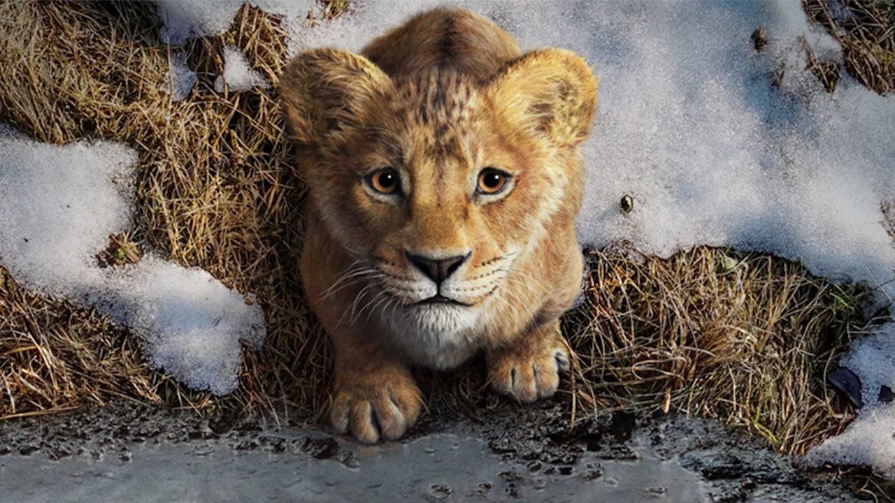 MUFASA