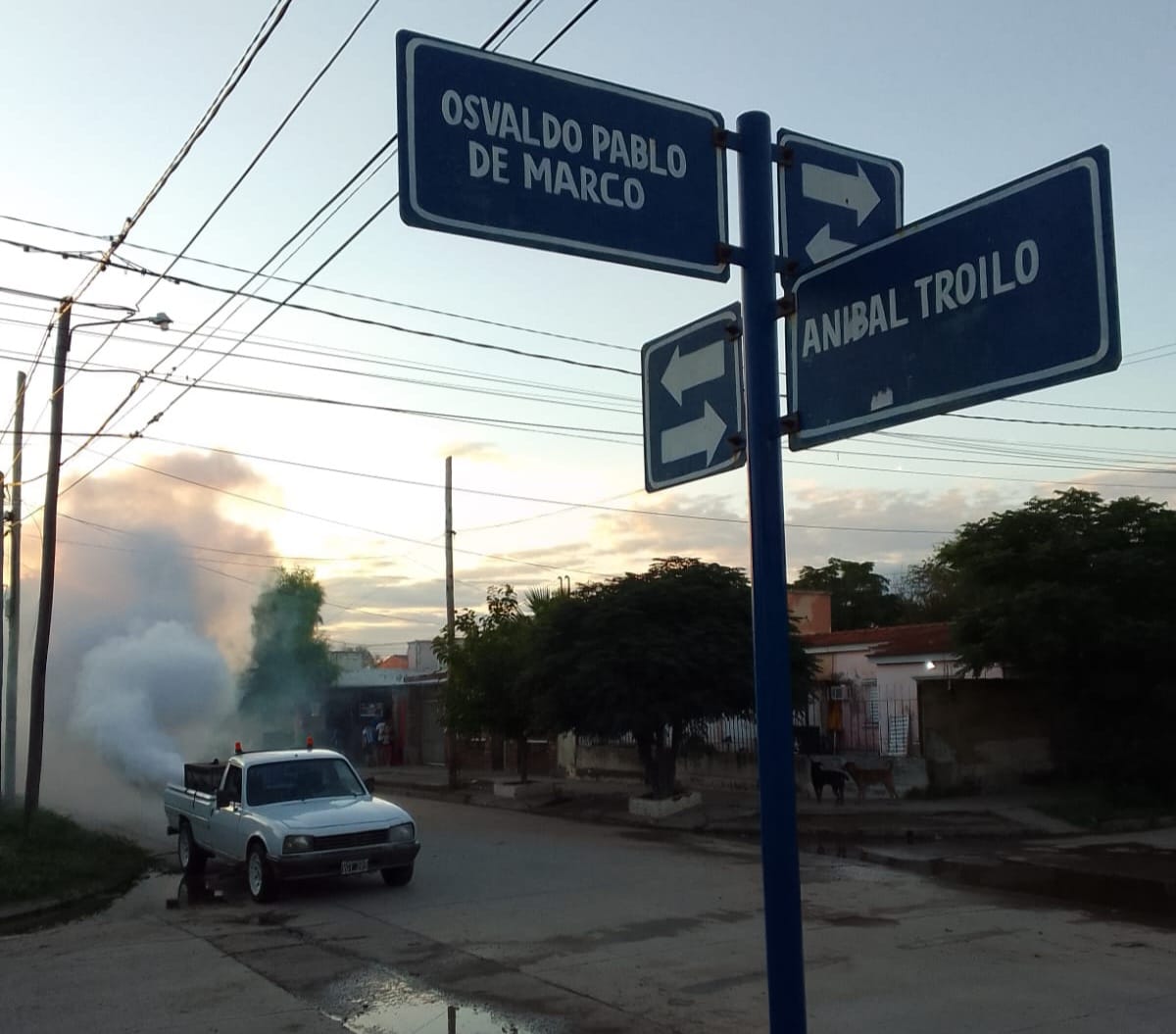 fumigar20